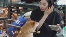 吃瓜娱乐八卦网红视频,揭秘吃瓜娱乐视频背后的秘密