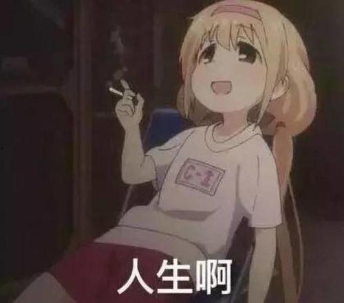 动漫人才被捕吃瓜娱乐