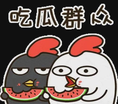 娱乐吃瓜酱心动心安,心动与心安的甜蜜碰撞