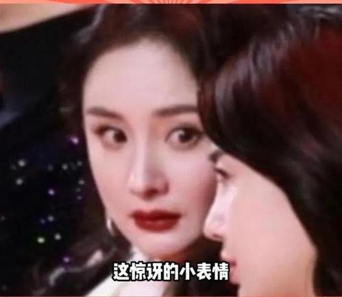 吃瓜娱乐圈的事,揭秘明星幕后故事